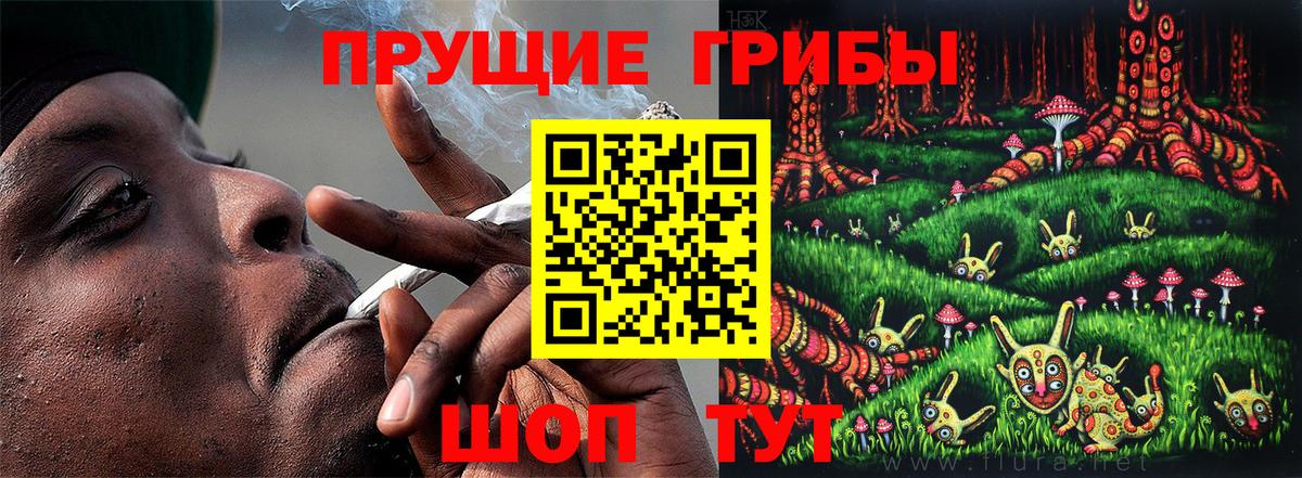 Псилоцибиновые грибы MAGIC MUSHROOMS  Вход с VPN  Рузаевка 